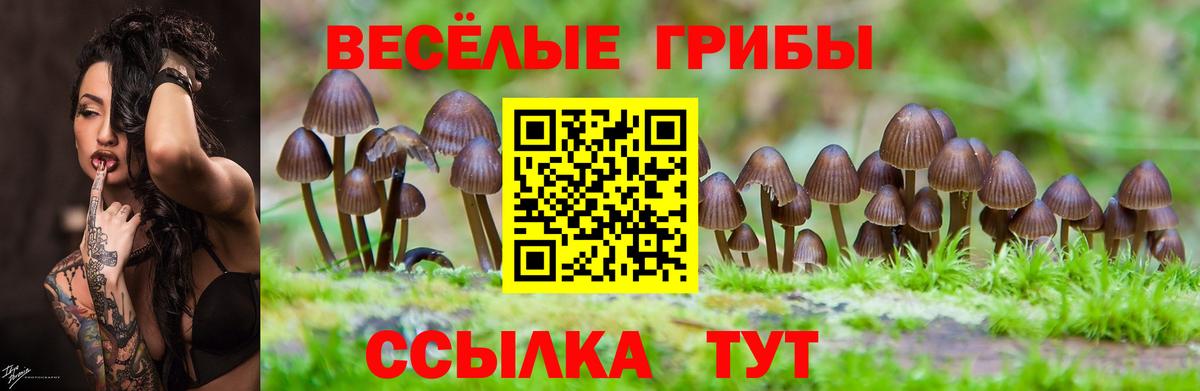 Псилоцибиновые грибы прущие грибы Химки
