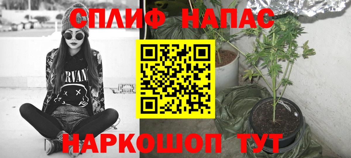 Бошки Шишки THC 21%  Канабис ГИДРОПОН  Бошки марихуана White Widow  Химки  Вход с VPN 