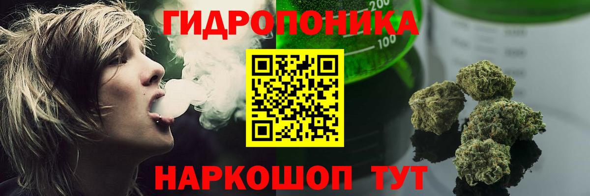 Конопля Bruce Banner Химки